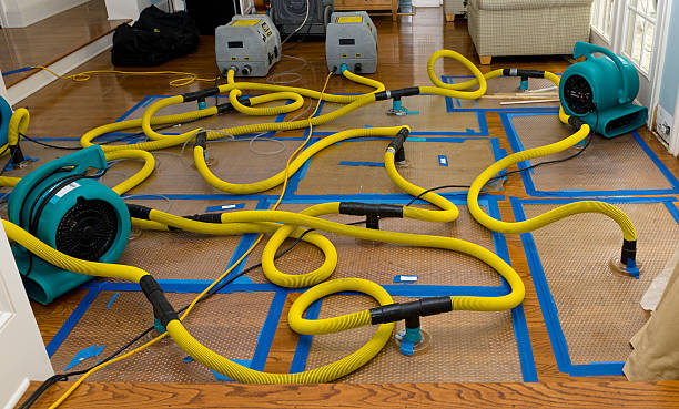 Professional Crawl Space Water Removal technician working in Portage, MI